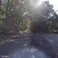 Tree blocking North Country Road near Pheasant Run