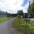 Dogs fighting and biting owners at South Street home