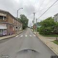 Dead cat creating road hazard at intersection