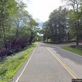 Loose dog reported on New Braintree Road