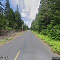 Neighbors argue over dogs in roadway near Trout Lake