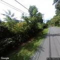 Dog reported on trail near Round Bay Road