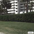 Woman suffers back injury at Panama City Beach hotel