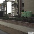 Resort fire alarm with no hazards found