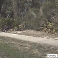 Alarm sounding at RV in campground lot
