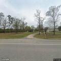 Driver hits deer lying in road near Buna gas station