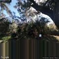 Person having allergic reaction at state park site 80