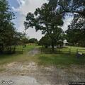 Loose livestock reported on Farm to Market Road 141