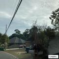 Child scratched by neighbor's dog on Ridge Rd