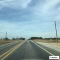 Loose dogs blocking traffic on Highway 16