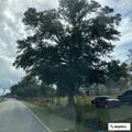Bicyclist incident at Rose Farm and Old Fort Bayou