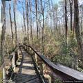 Brush fire in Cary State Forest near entrance