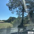 Traffic crash near East Cook Road medical plaza