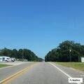 Traffic stop on vehicle with Mississippi plate