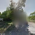 Loose dog kills cat near Aspen Lane in Cottonwood Shores