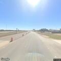 Loose livestock creating road hazard near highway