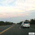 Vehicle hits hog on TX-29 near Bertram
