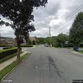 Animal struck near Lincoln and Highview
