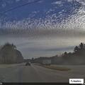Tree partially blocking County Road 14 roadway