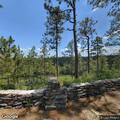 Tree cleared from roadway near Longleaf