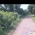 Neighbor’s dogs block access to mailbox