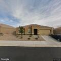 Desert animal removal at Sahuarita residence