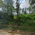 Brush fire spreading into woods on County Road 436