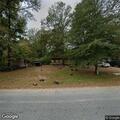 Abandoned dogs reported on Harrisville Braxton Road