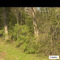 Woman found unresponsive in vehicle near Louisiana