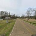 Dog runs into traffic on Old Highway 49