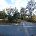 Tree limb smoldering on power line in Guyton