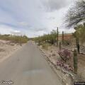Animal relocation near South Via Del Rey in Tucson