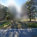 Tree on power line causing smoke on Arcola Road