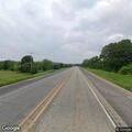Loose buffalo creating road hazard on US 377