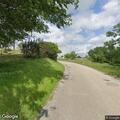Cows blocking roadway on County Road 156