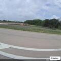 Loose cattle on I-45 service road near Palmer
