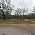 Report of loose elderly dog on Rolling Hills Drive