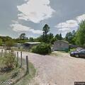 Neighbors’ dogs chase woman and her cat
