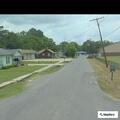 Loose dogs reported on Woodrow Street