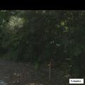 Assault with Taser reported on Alvis Shelby Road