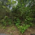 Animal reported on property on Harlan Road