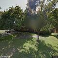 Complaint over overgrown lawn at Todd Circle