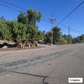 Tree blocking most of roadway near Jamul intersection