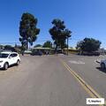 Male down near alcohol bottle at intersection