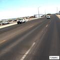 Dog walking along highway sidewalk