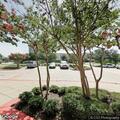 Medical emergency near Green Park Drive extended stay
