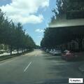 Man stealing items at Park Road Chevron