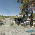Bear trying to get into chicken coop in Mimbres