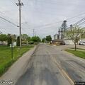 Loose dog roaming near East Main Street