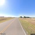 Cows loose on Highway 47 west of Thomas